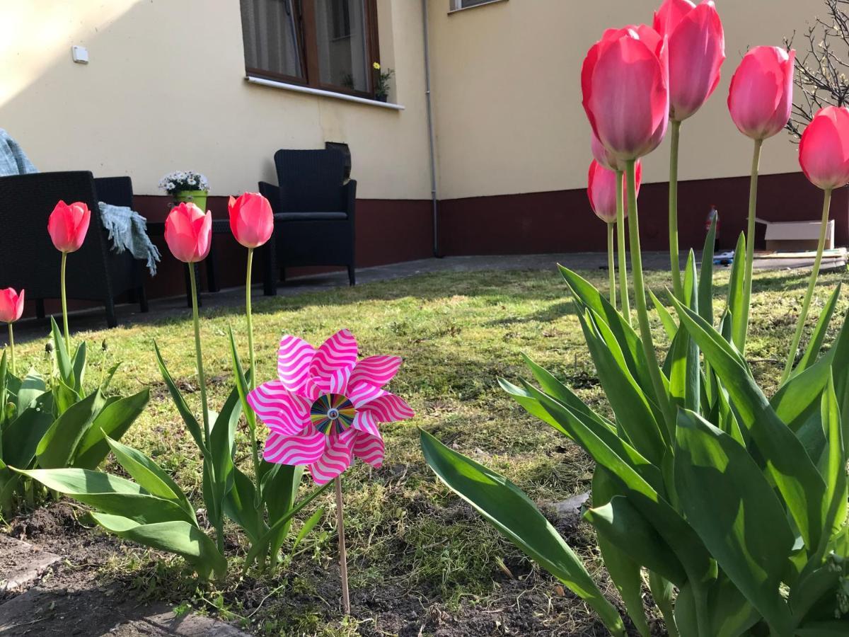 Casa Marherita Appartman Hajdúszoboszló Exterior foto